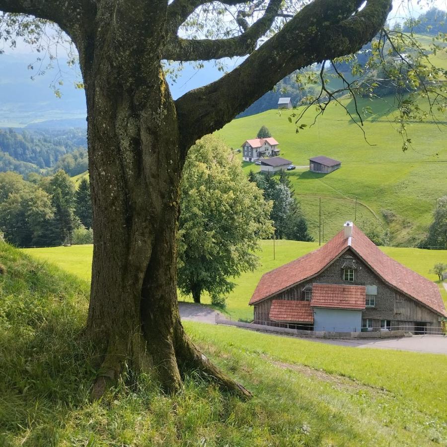 Dom Wiejski Artur Goldingen ภายนอก รูปภาพ